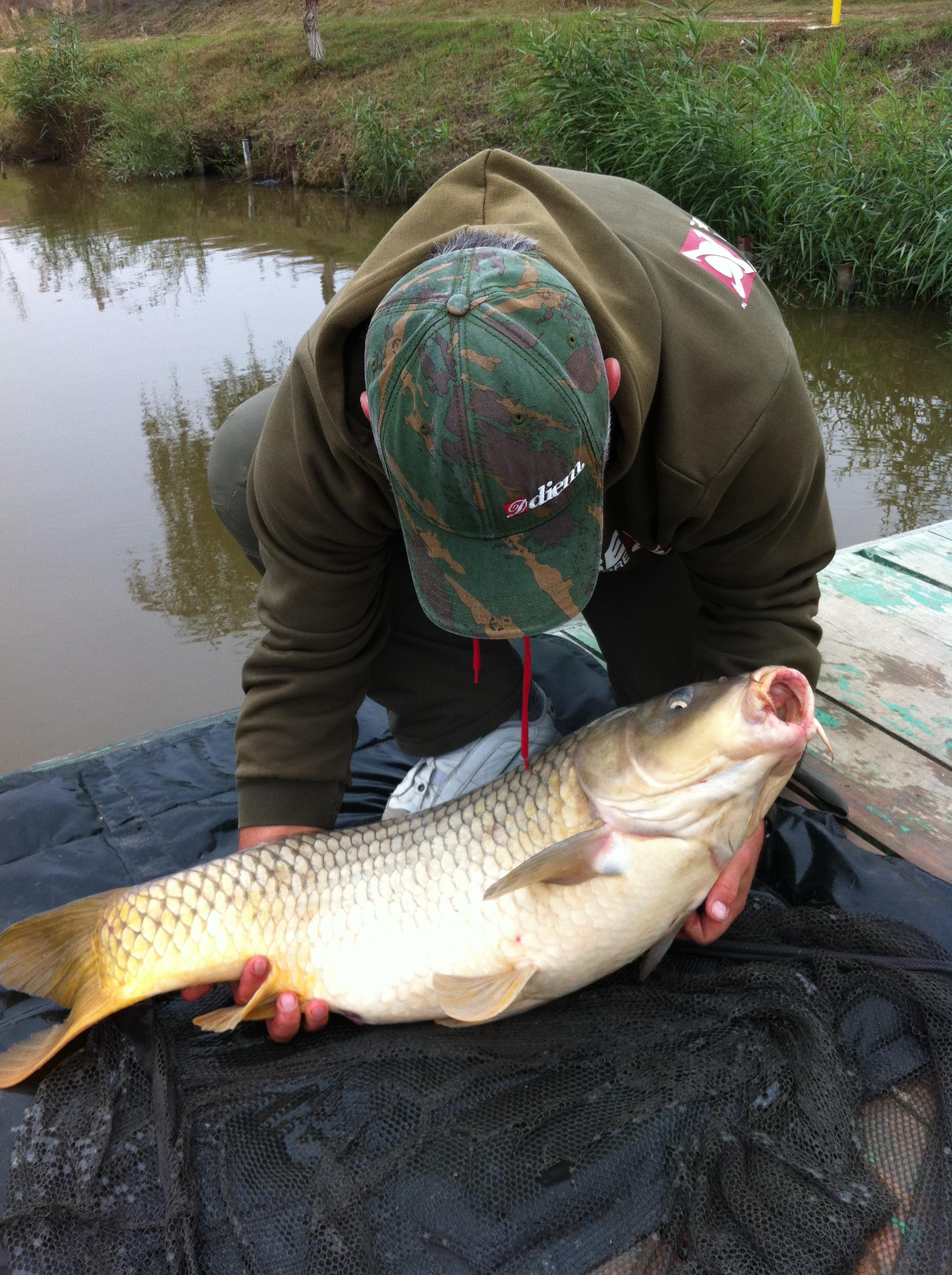 Moara Vlasiei - 2171.JPG